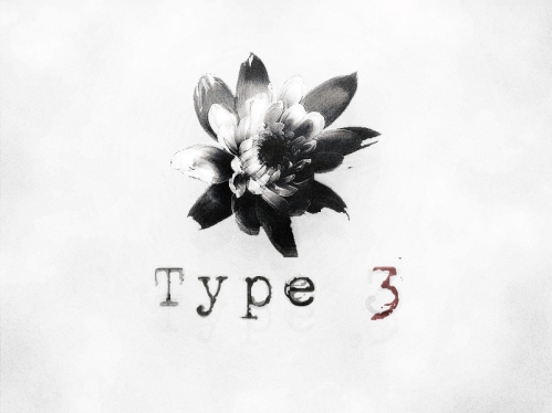 type_3_logo.jpg