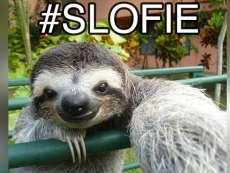 Apple claims to have invented Slofies