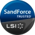 lsi-sandforcelogo