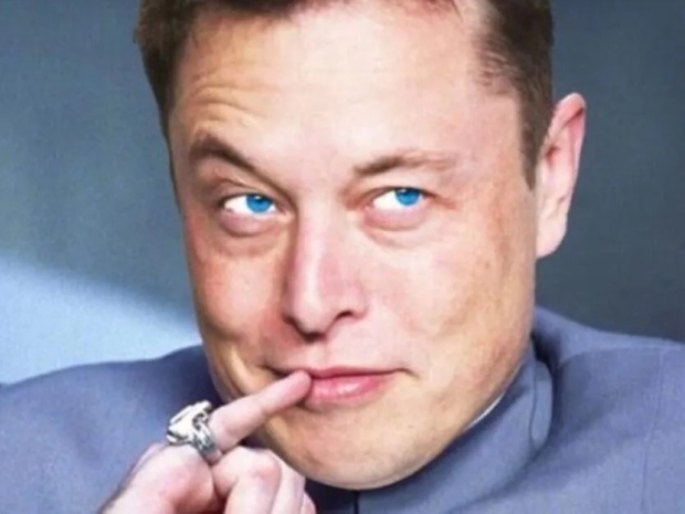 Musk floods Twitter users with his words of &quot;wisdom&quot;