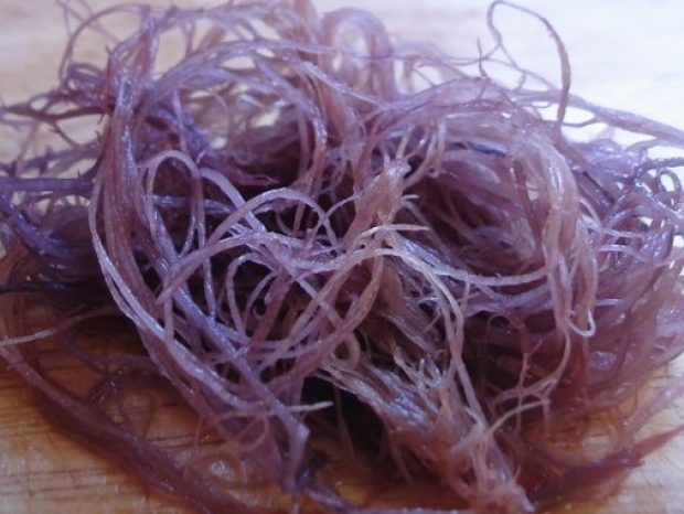 Boffins make optical fibre out of agar