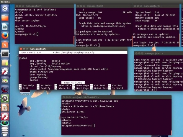 HAProxy&#039;s load balancer handles 2.04 million requests per second