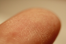 Fingerprint sensors fall below $5
