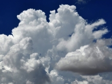 German enterprises look to the cloud to support intelligent ERP