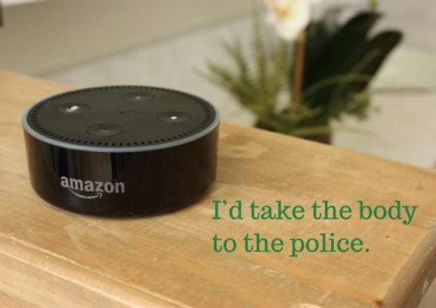 Amazon is the queen of pointless speakers