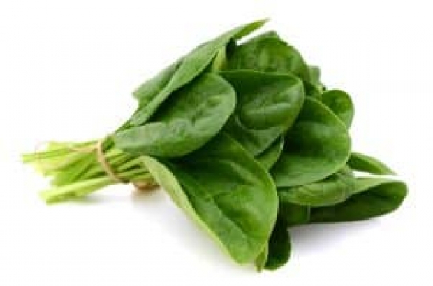 Boffins create spinach that can send email