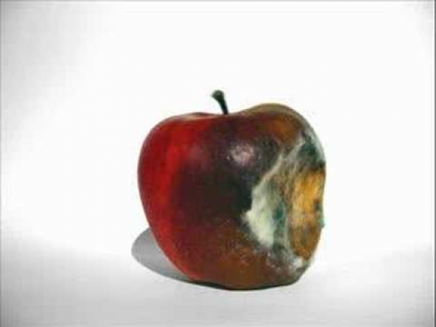 AAC Tech suffers from Apple rot