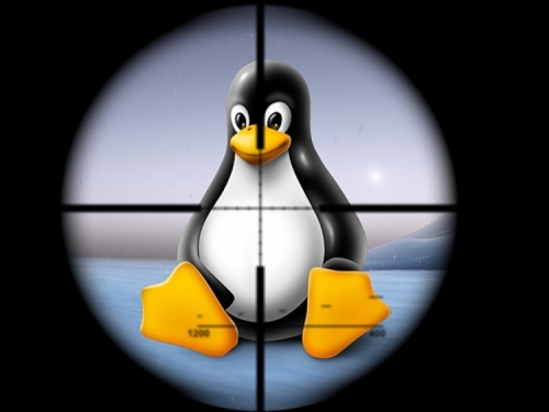 Linux malware rises