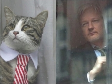 WikiLeaks demands press not write bad stuff about Assange