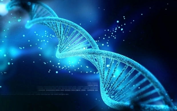 Microsoft wants to use DNA storage
