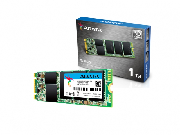 ADATA launches new M.2 2280 version of SU800 SSD