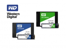 WD formally enters SSD market