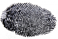 Chinese want shedloads of fingerprint sensors