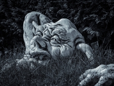 AMD hit by patent troll over 3d v-cache tech