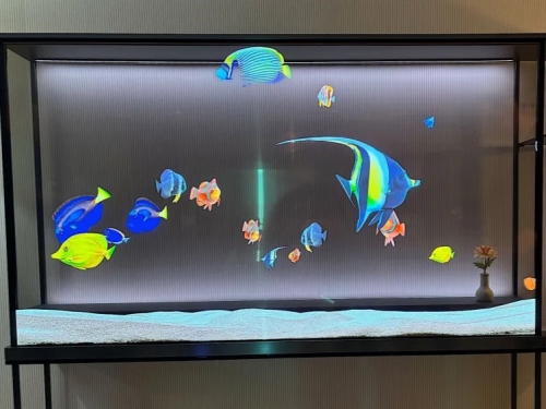 LG shows off the world's first wireless see-through TV