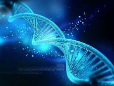 Microsoft says it is making progress on DNA storage